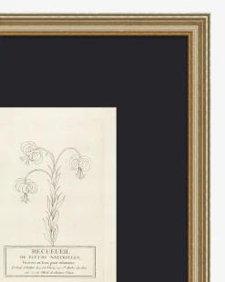 Collection Of French Flowers|Art Headquarters, LLC DBA Wendover Art Group DBA Kevin O'Brien Studio Sale