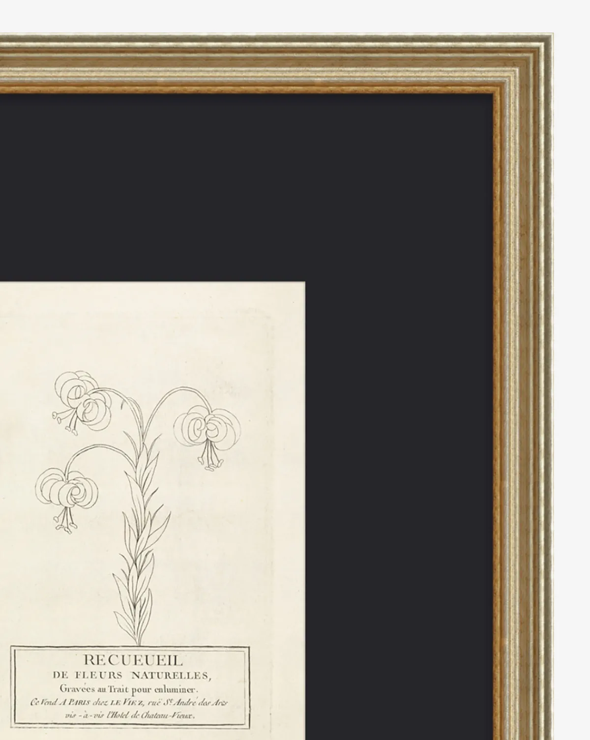 Collection Of French Flowers|Art Headquarters, LLC DBA Wendover Art Group DBA Kevin O'Brien Studio Sale