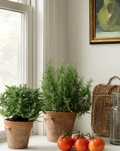 Cordelia Planter|HomArt Clearance