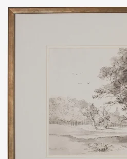 Countryside Drawing|Shadow Catchers