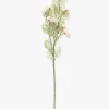 Cream Cosmos Stem|Abigail Ahern Ltd Outlet