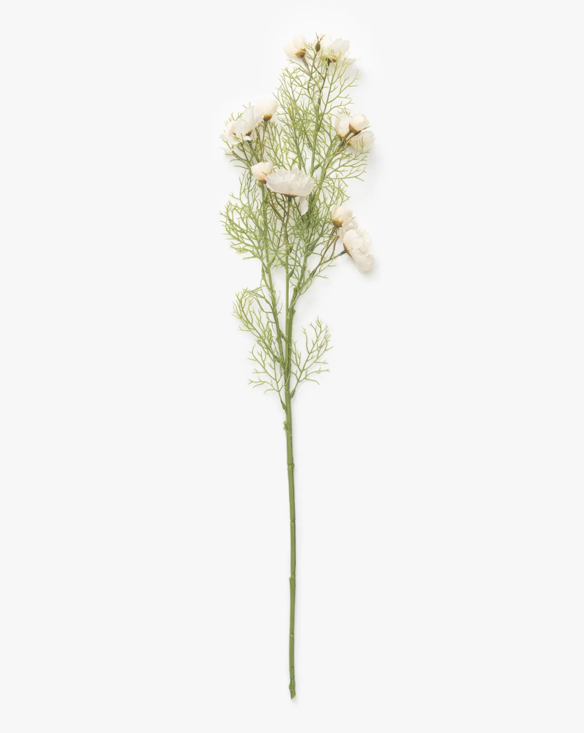 Cream Cosmos Stem|Abigail Ahern Ltd Outlet