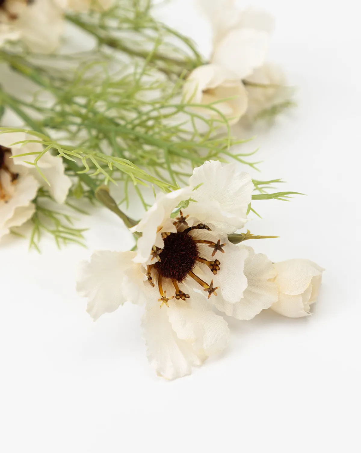 Cream Cosmos Stem|Abigail Ahern Ltd Outlet