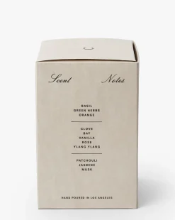 Daffodils Dancing Candle|Caroline Francis Clearance