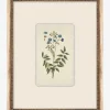 Delicate Floral l|Art Headquarters, LLC DBA Wendover Art Group DBA Kevin O'Brien Studio Discount