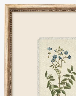 Delicate Floral l|Art Headquarters, LLC DBA Wendover Art Group DBA Kevin O'Brien Studio Discount