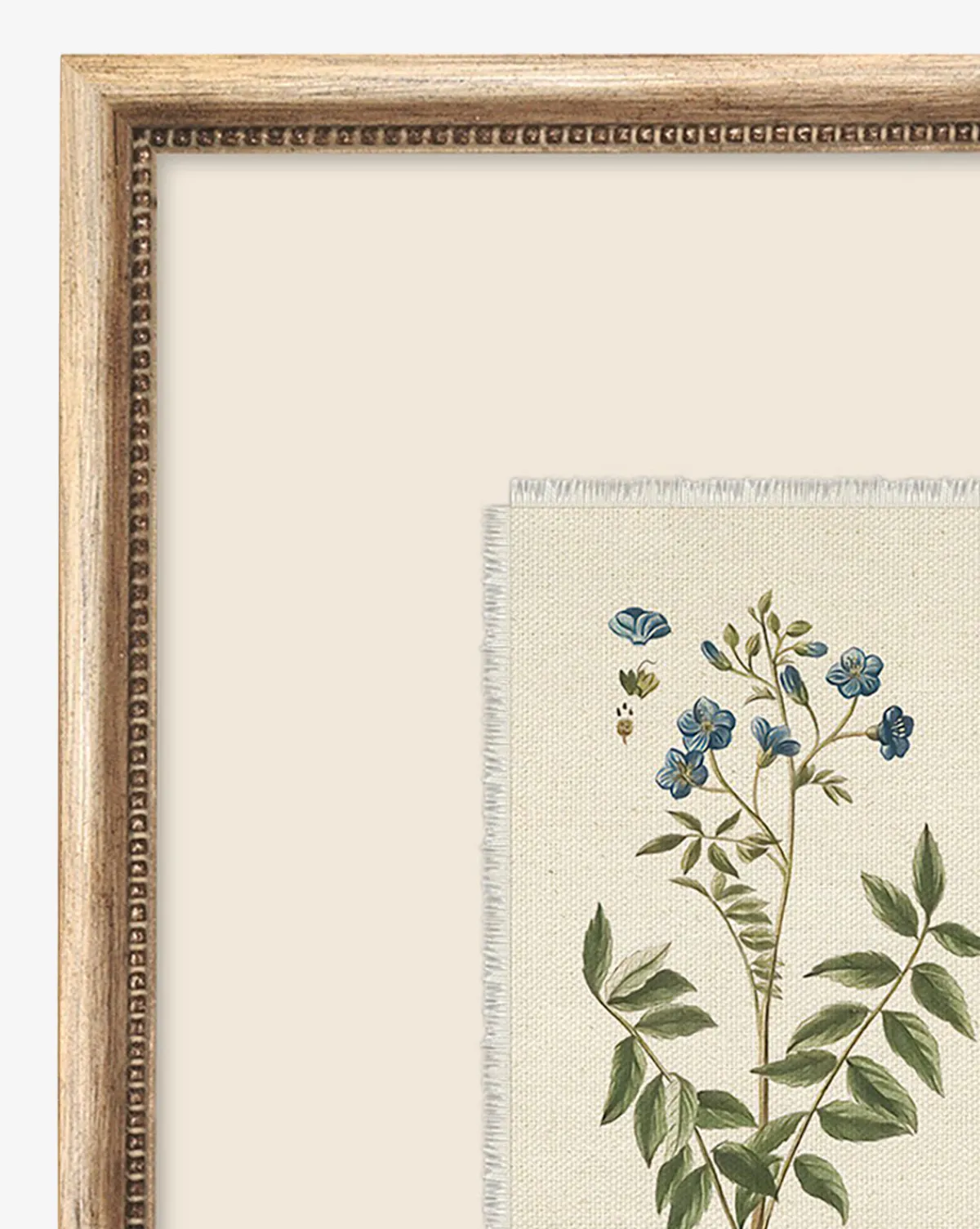 Delicate Floral l|Art Headquarters, LLC DBA Wendover Art Group DBA Kevin O'Brien Studio Discount