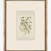 Delicate Floral ll|Art Headquarters, LLC DBA Wendover Art Group DBA Kevin O'Brien Studio