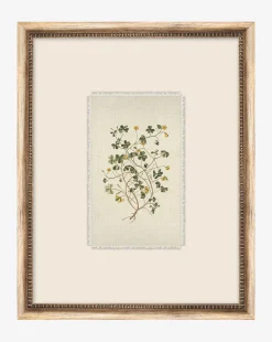 Delicate Floral ll|Art Headquarters, LLC DBA Wendover Art Group DBA Kevin O'Brien Studio