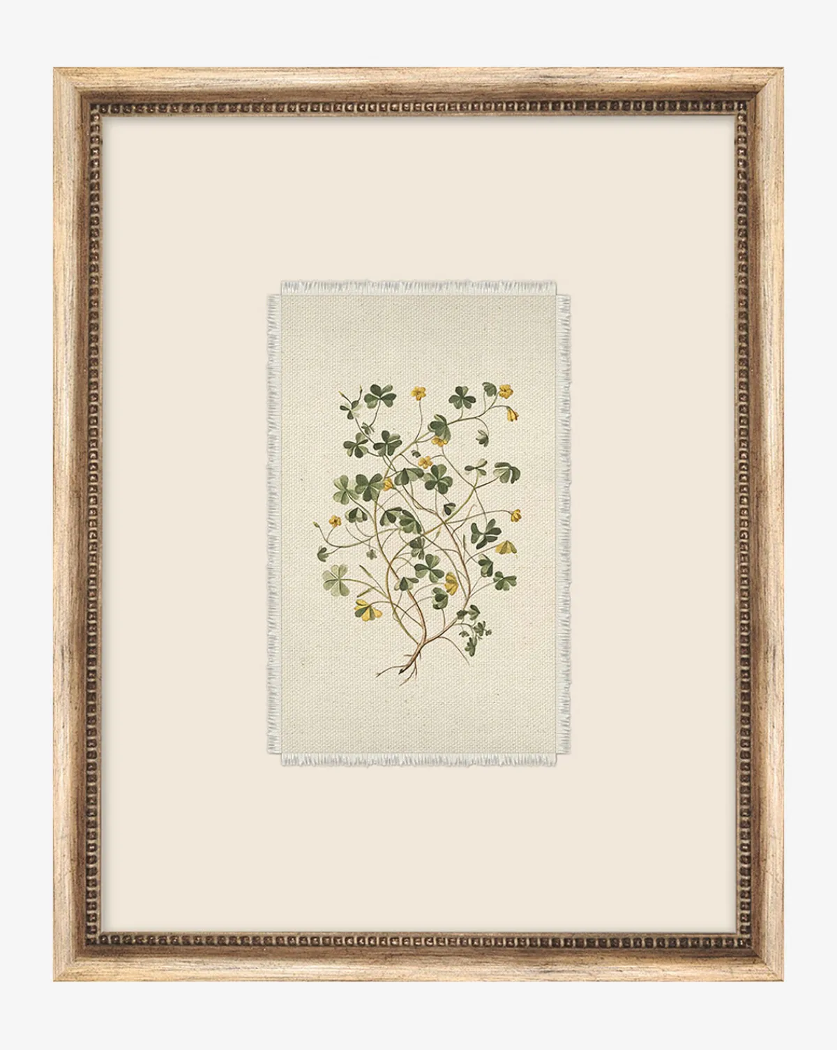Delicate Floral ll|Art Headquarters, LLC DBA Wendover Art Group DBA Kevin O'Brien Studio