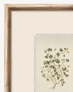 Delicate Floral ll|Art Headquarters, LLC DBA Wendover Art Group DBA Kevin O'Brien Studio