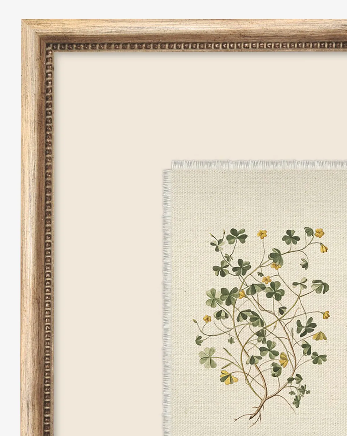 Delicate Floral ll|Art Headquarters, LLC DBA Wendover Art Group DBA Kevin O'Brien Studio