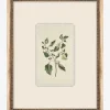Delicate Floral lll|Art Headquarters, LLC DBA Wendover Art Group DBA Kevin O'Brien Studio Sale