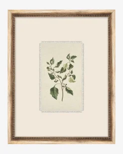 Delicate Floral lll|Art Headquarters, LLC DBA Wendover Art Group DBA Kevin O'Brien Studio Sale