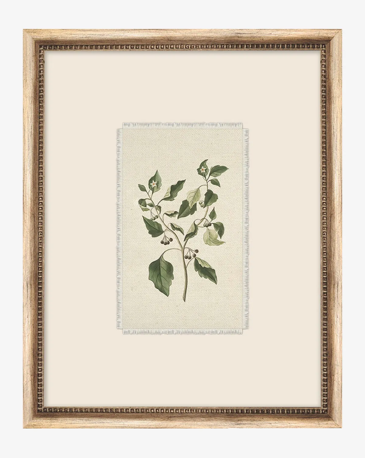 Delicate Floral lll|Art Headquarters, LLC DBA Wendover Art Group DBA Kevin O'Brien Studio Sale