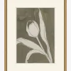 Delicate Tulip I by Rebekah Webb|Art Headquarters, LLC DBA Wendover Art Group DBA Kevin O'Brien Studio