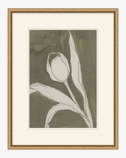 Delicate Tulip I by Rebekah Webb|Art Headquarters, LLC DBA Wendover Art Group DBA Kevin O'Brien Studio