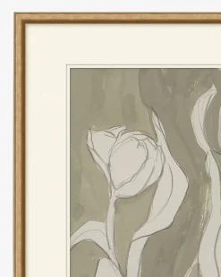 Delicate Tulip II by Rebekah Webb|Art Headquarters, LLC DBA Wendover Art Group DBA Kevin O'Brien Studio Online