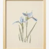 Embroidered Blue Iris|Loloi Rugs Clearance