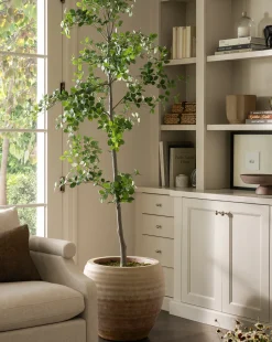 Faux Cascalote Tree|UCP INTERNATIONAL COMPANY LIMITED