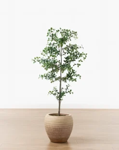 Faux Cascalote Tree|UCP INTERNATIONAL COMPANY LIMITED