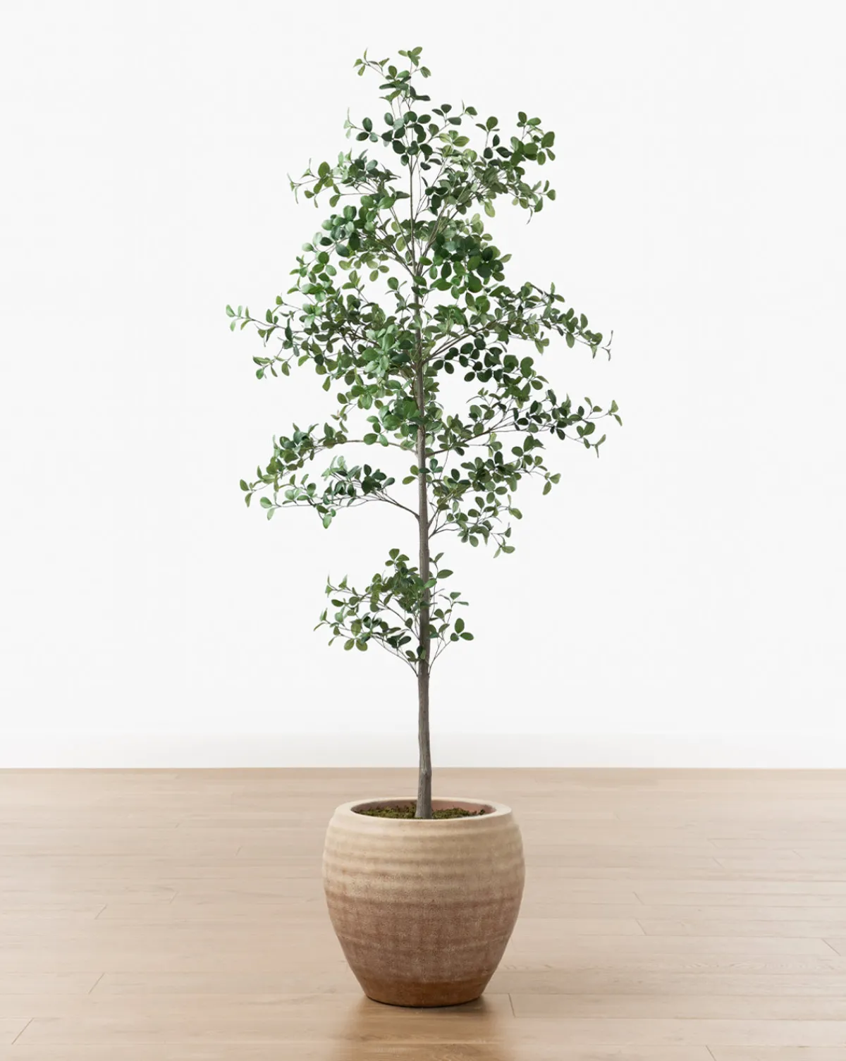 Faux Cascalote Tree|UCP INTERNATIONAL COMPANY LIMITED