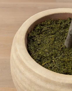 Faux Cascalote Tree|UCP INTERNATIONAL COMPANY LIMITED