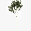 Faux Eucalyptus Seed Stem|Napa Home & Garden