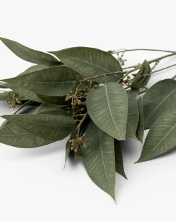 Faux Eucalyptus Seed Stem|Napa Home & Garden