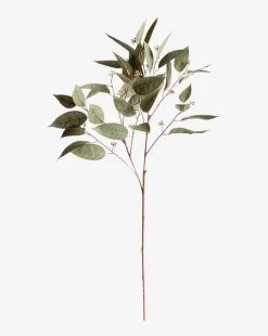 Faux Eucalyptus Seed Stem|Napa Home & Garden