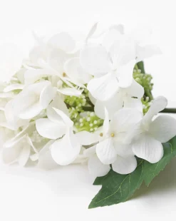 Faux Hydrangea Stem|UCP INTERNATIONAL COMPANY LIMITED Sale