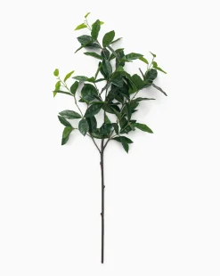 Faux Laurel Leaf Branch|UCP INTERNATIONAL COMPANY LIMITED Clearance