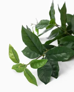 Faux Laurel Leaf Branch|UCP INTERNATIONAL COMPANY LIMITED Clearance