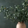 Faux Olive Branch|UCP INTERNATIONAL COMPANY LIMITED Sale