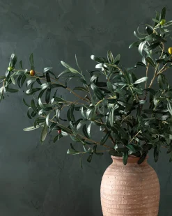 Faux Olive Branch|UCP INTERNATIONAL COMPANY LIMITED Sale