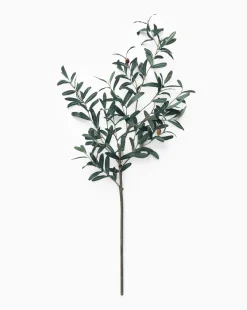 Faux Olive Branch|UCP INTERNATIONAL COMPANY LIMITED Sale