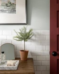 Forest Meadow|Four Hands