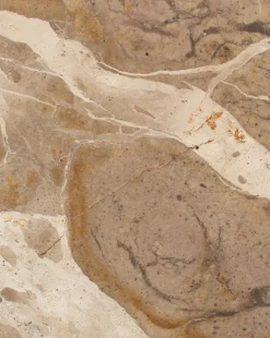 Fossil Marble End Table|Four Hands Online