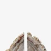 Fossilized Wood Bookends (Set of 2)|Four Hands Online