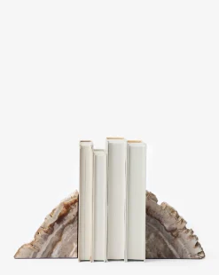 Fossilized Wood Bookends (Set of 2)|Four Hands Online