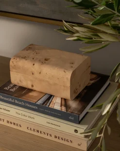 Gammon Burl Box|Credence Clearance