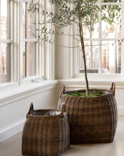 Handled Planter Basket|Makerspalm Sale