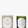 Heirloom Tomato 2-Wick Candle|Linnea's Lights Sale