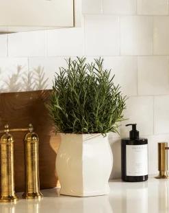 Kasha Cream Pot|Napa Home & Garden Outlet