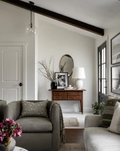 Katie Globe Pendant|Visual Comfort & Co. Signature Clearance