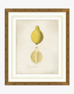 Lemon Study|Art Headquarters, LLC DBA Wendover Art Group DBA Kevin O'Brien Studio Outlet