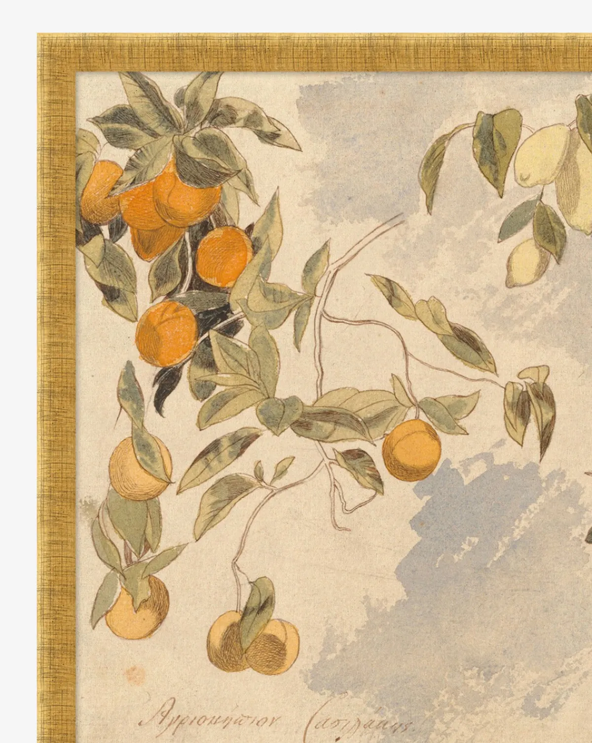Lemons & Oranges|Art Headquarters, LLC DBA Wendover Art Group DBA Kevin O'Brien Studio Best