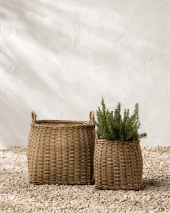 Lightwash Handled Planter Basket|Makerspalm Sale