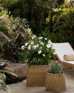 Lightwash Handled Planter Basket|Makerspalm Sale