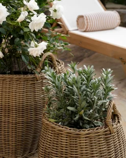 Lightwash Handled Planter Basket|Makerspalm Sale